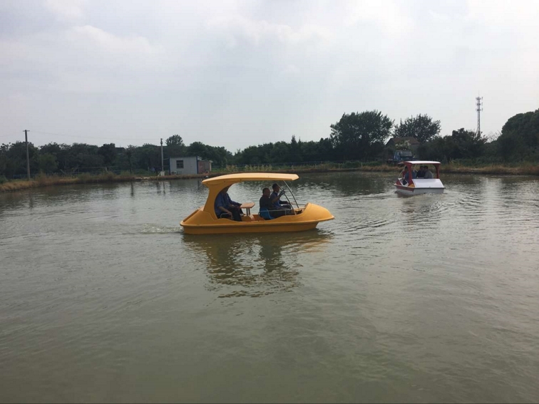 4人轎車電動船